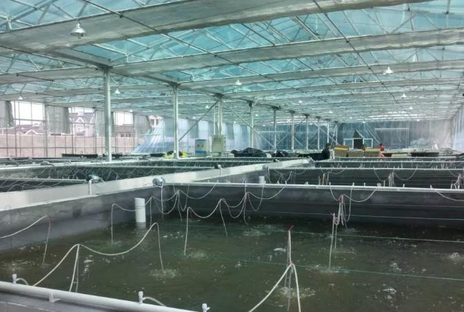 1621906514666282.jpg src=http___nwzimg.wezhan.cn_contents_sitefiles2025_10129321_images_11694573.png&refer=http___nwzimg.wezhan.jpg